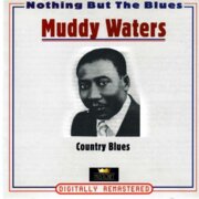 NOTHING BUT THE BLUES - M.WATERS