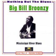 NOTHING BUT THE BLUES - BIG BILL BROONZY