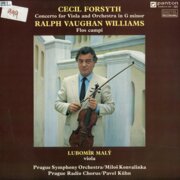 Concerto for Viola and Orchestra in G minor