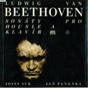 Sonáty pro housle a klavír