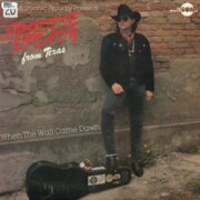 When The Wall Came Down