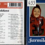 A vy páni muzikanti