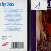Rock hits by Sax