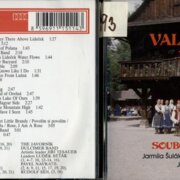 Na valašském bále