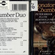 Sonatori chamber duo