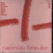 Camerata Brno live 1