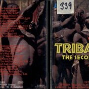 The second gathering