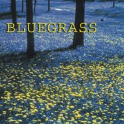 Bluegrass
