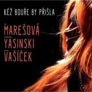 Kéž bouře by přišla