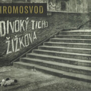 Divoký Ticho Žižkova