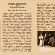 Politická inventura