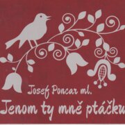 Jenom ty mně ptáčku