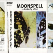 The butterfly effect