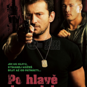 Po hlavě... do prdele