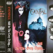 Still In The Grey Dying