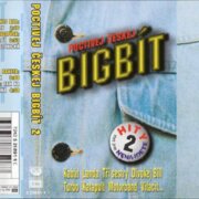 Poctivej Českej bigbít 2