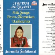 A vy páni muziganti