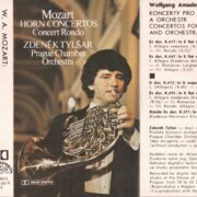 Koncerty pro lesní roh a orchestr