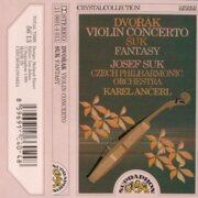 Viloin concerto, Fantasy