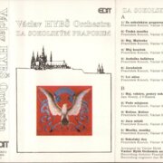 Za sokolským praporem