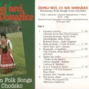 Žádnej neví co sou Domažlice