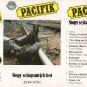 Stopy sešlapanejch bot