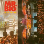 Mr. Big live