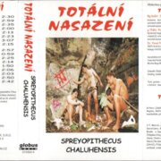 Spreyopithecus chaluhensis