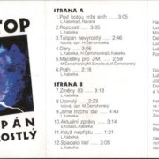 Tulipán nevyrostlý