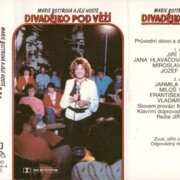 Divadélko pod věží