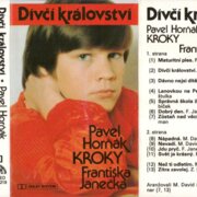 Dívčí království, Kroky Františka Janečka