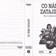 Co nám zatajily – Školní videopořady