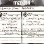 Cronica Domus Sarensis