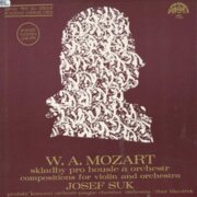 Skladby pro housle a orchestr