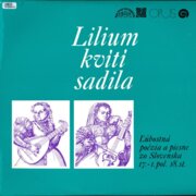 Lilium kvítí sadila