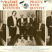 Suita pro dechové kvinteto, Dechový kvintet