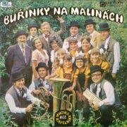 Buřinky na malinách