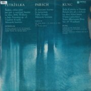 Štafeta, II. Smyčcový kvartet, Stála Kačenka u Dunaja