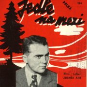 Klavír - Zpěv - kytara - harmonika 284 - Jedle na mezi