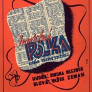 Insertní polka - hledám hezkou holčičku