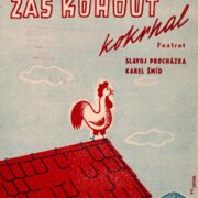 Zas kohout kokrhal