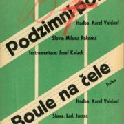 Universální orchestr č. 2429/30 - Podzimní polka, Boule na čele