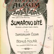 Koncertní album číslo 1 - Šumařovo dítě