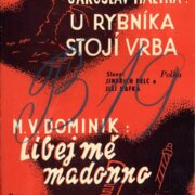U rybníka stojí vrba, Líbej me madonno