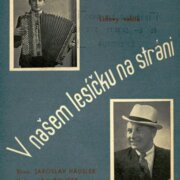 V našem lesíčku na stráni