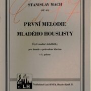 První melodie mladého houslisty