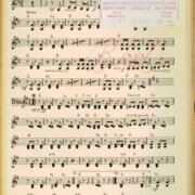 Heckenrosen - Růžový keříček