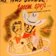 Až nás soudce lasem spojí...