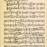 Lullaby for a mexican alligator