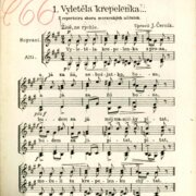 Lidové písně Slovácko-Slovenské